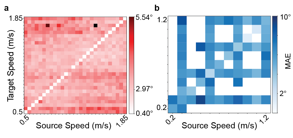 First result visualization