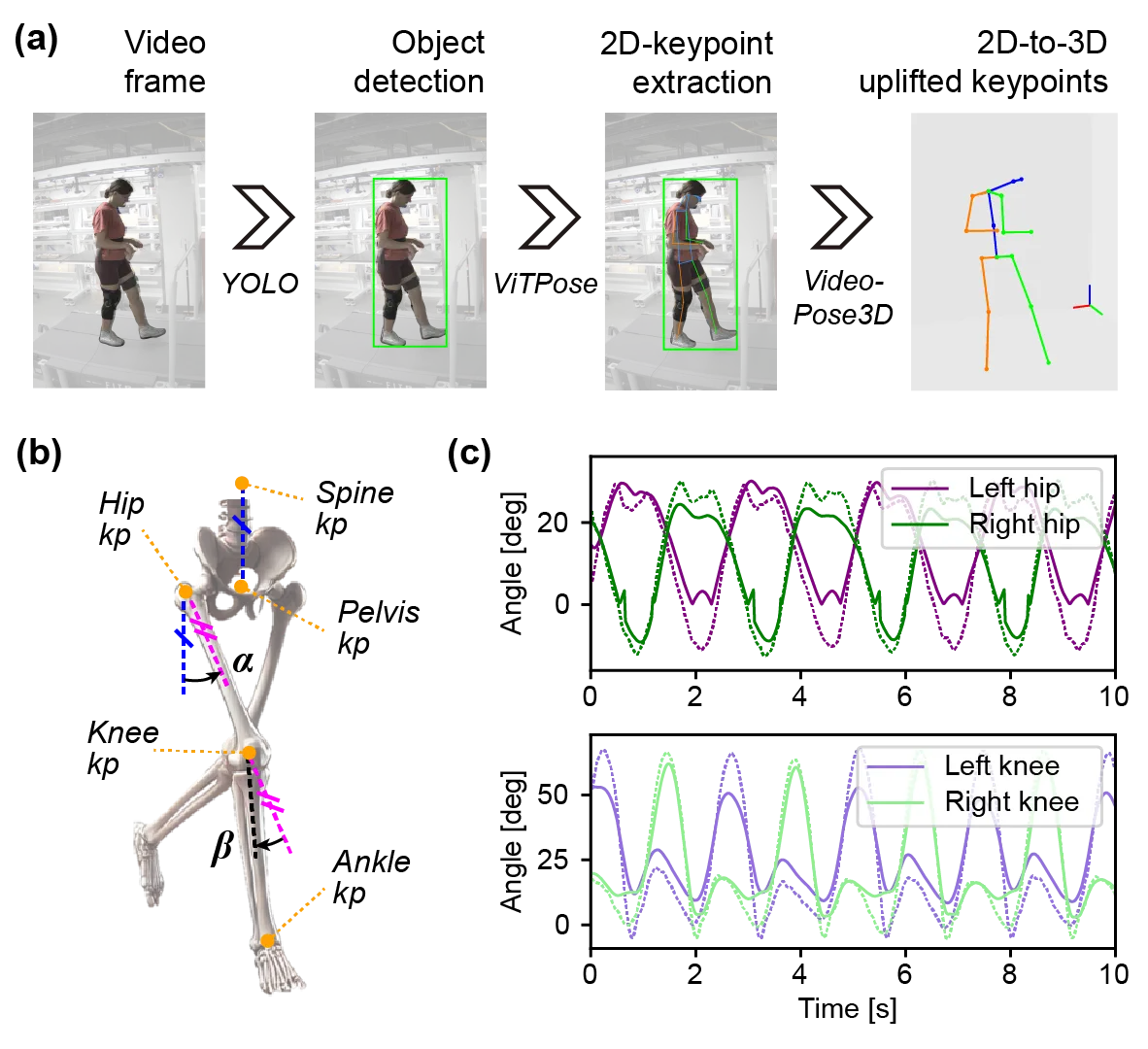 vision model scheme